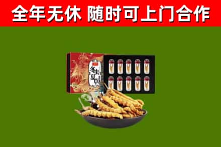 涉县回收冬虫夏草价格